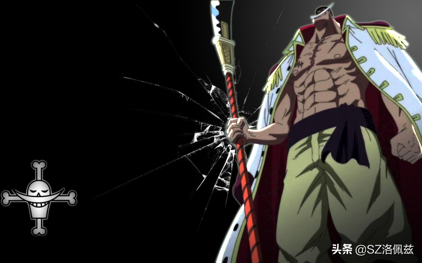 海贼王白胡子onepiece,海贼王白胡子背后标志