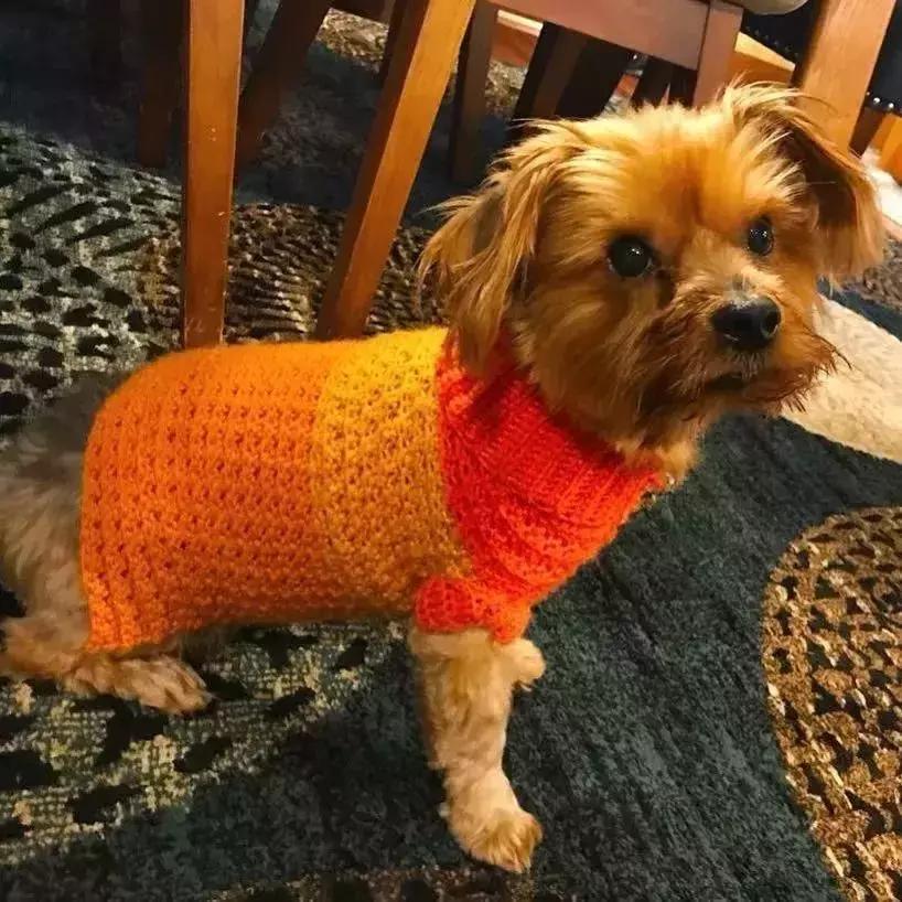 19万人看男生玩编织?从非洲弃婴到全美偶像,11岁男孩用6年逆袭人生...