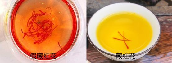 真假藏红花泡水图片,藏红花如何辨别真假