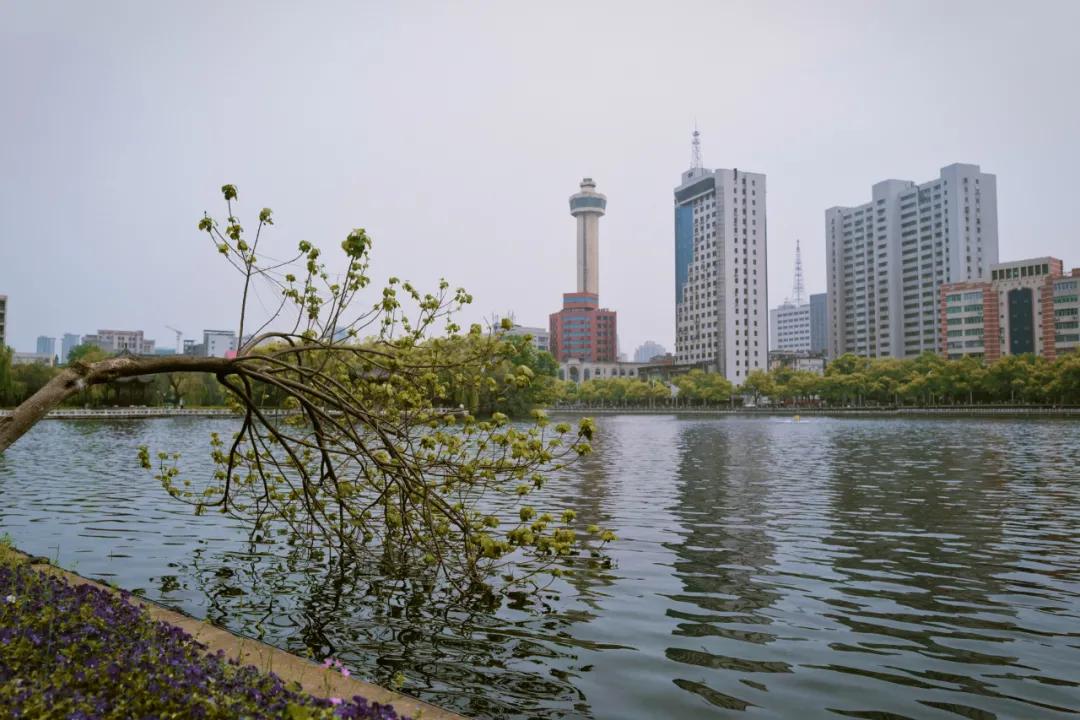 嗦粉人的快乐你体会到了吗美食,嗦粉人的快乐就是这么简单