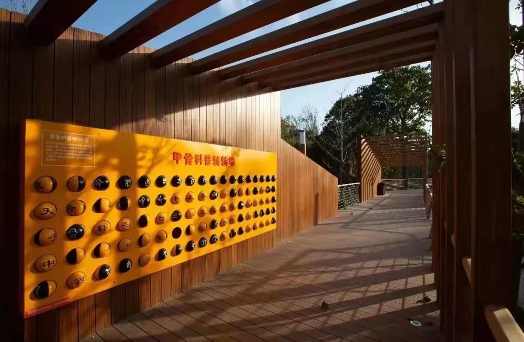 郑州建业足球小镇最近状况,建业足球小镇怎么样了