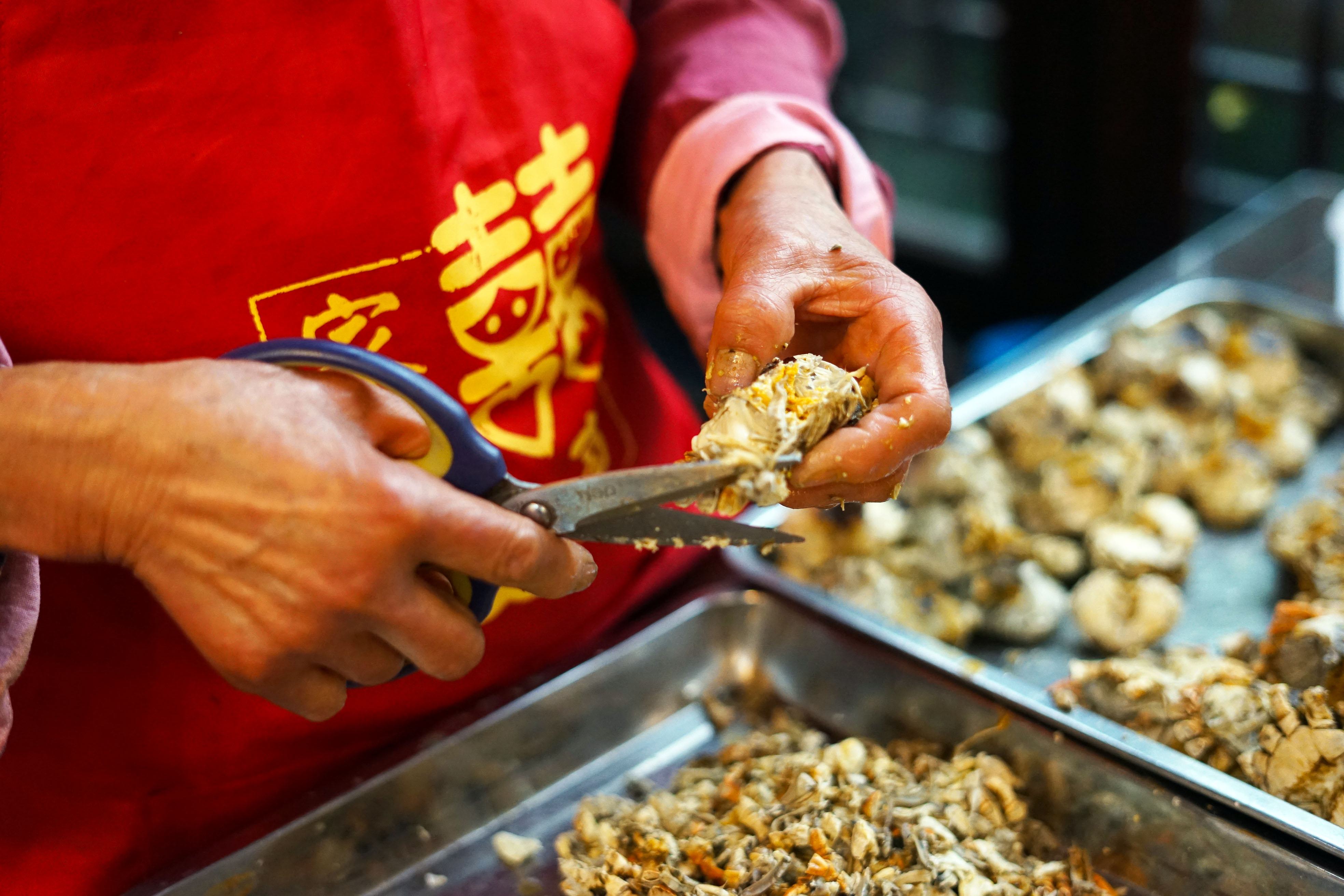 苏州是个温柔细腻且包容的城市,苏州是个温柔的地方