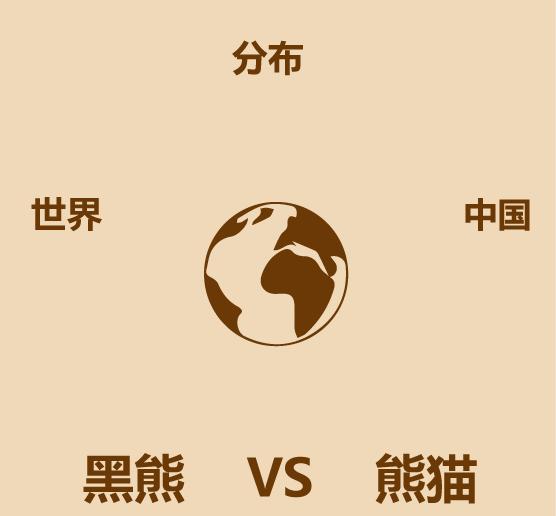 1分钟内黑熊走多远,大熊猫和黑熊谁厉害