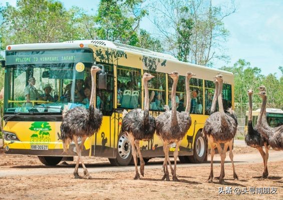 越南旅游的海岛,越南小众海岛