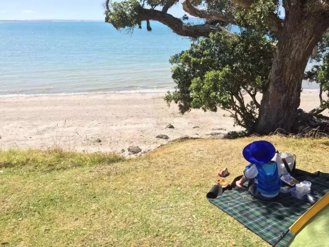 2.5.3漫话新西兰－－（第0篇）只如初见