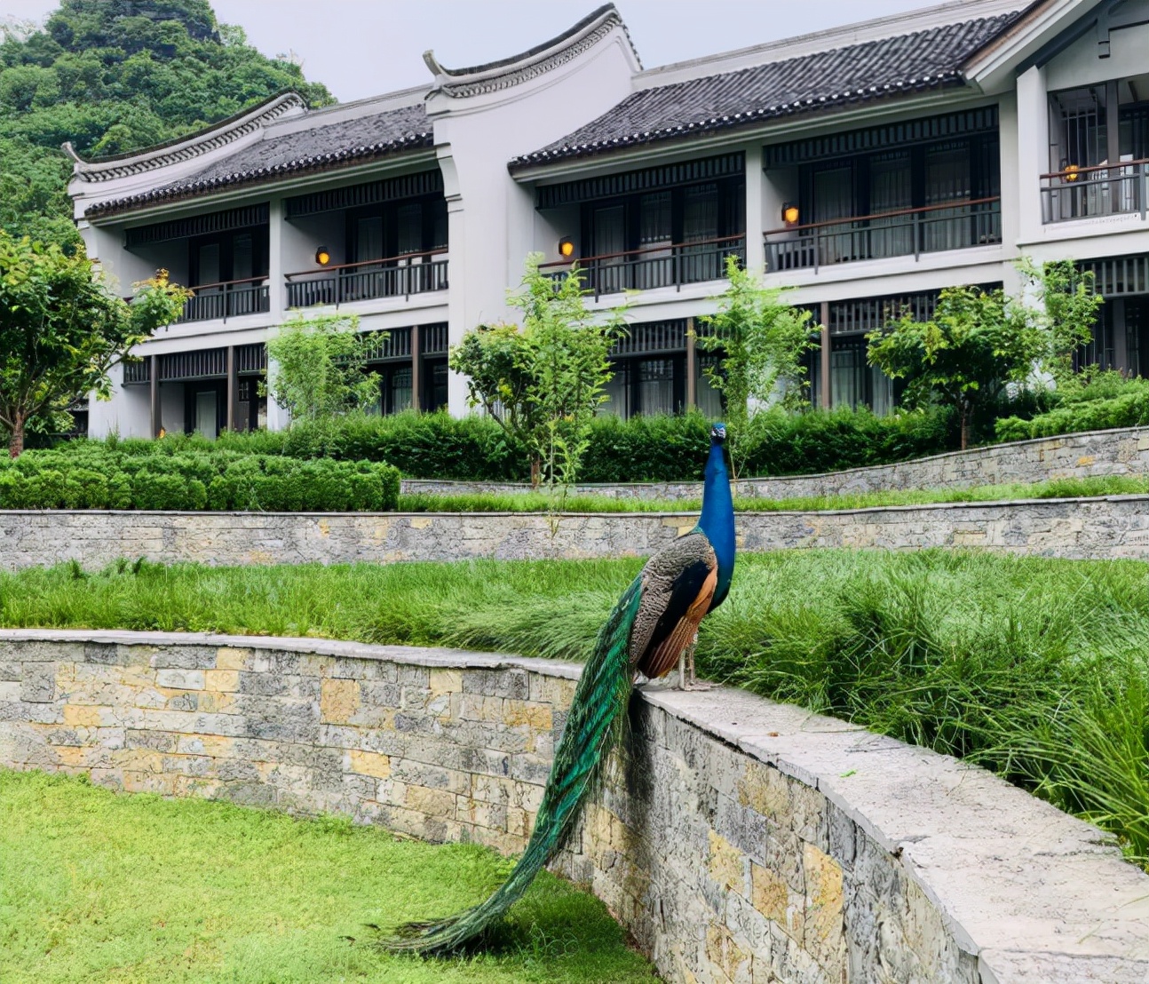 阳朔悦榕庄治愈之旅,阳朔悦榕庄免费旅游