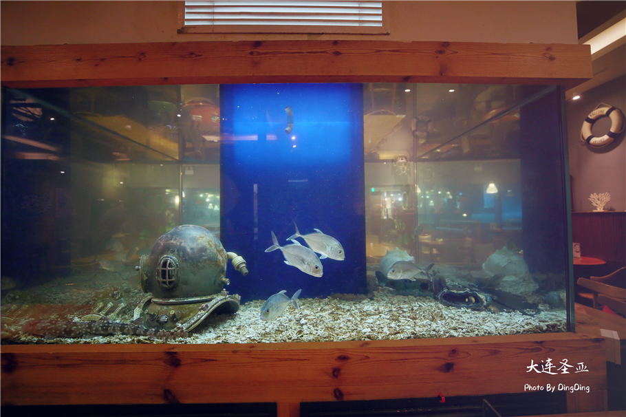 北方明珠活力四射的浪漫之都大连，国内最具特色的海洋世界圣亚
