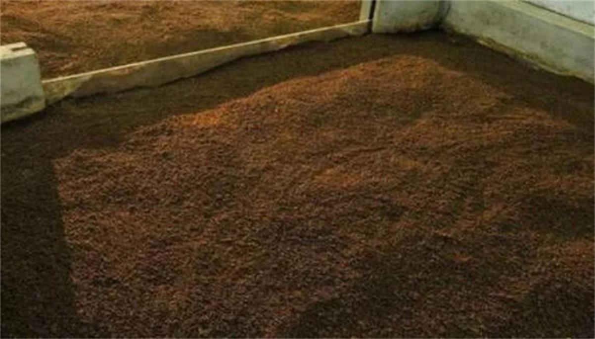 真全粮酿酒现场,真全粮酿酒原料配方