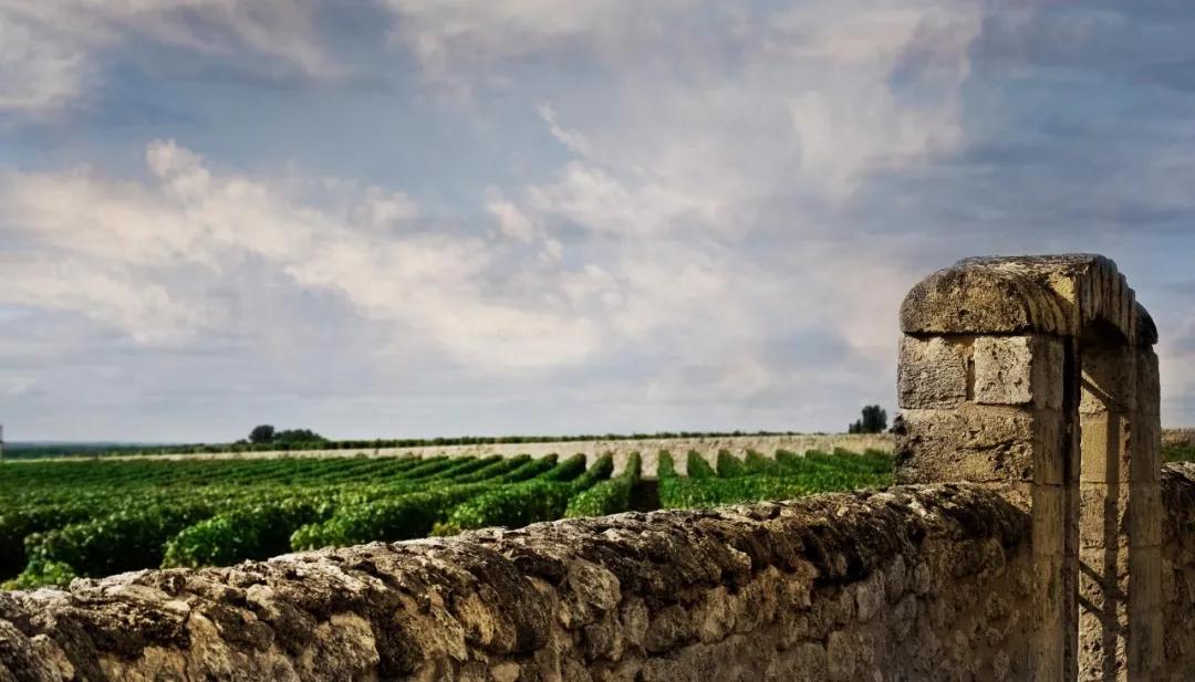 勃艮第独占葡萄园,勃艮第有哪些园