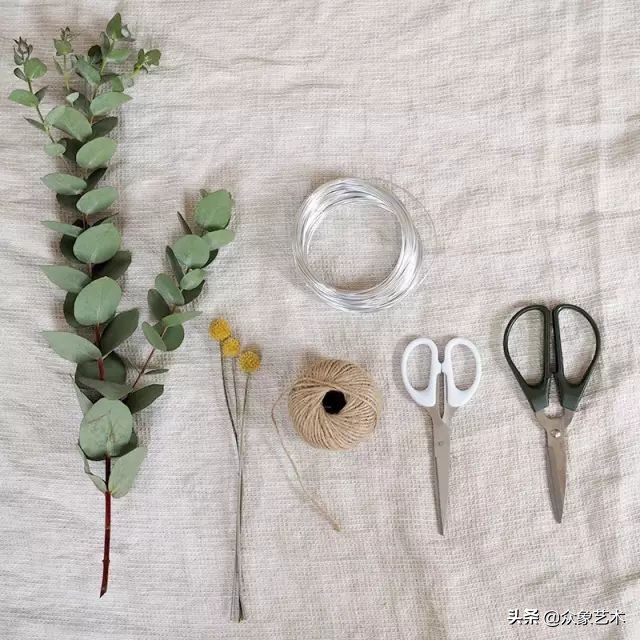 干花布置省钱,什么花适合做干花