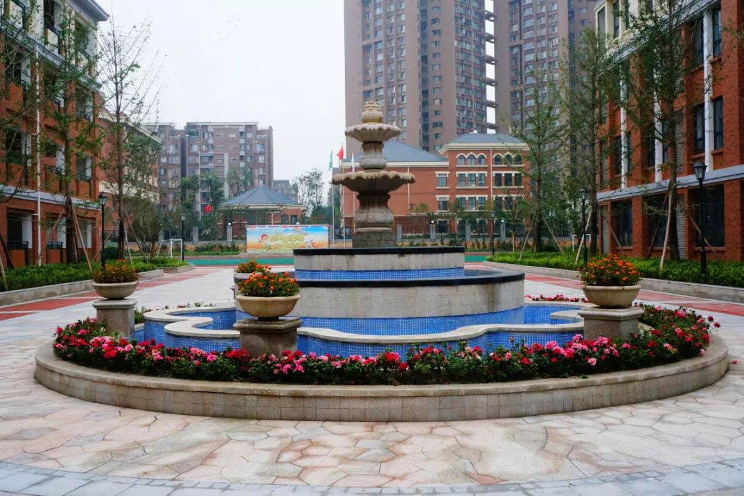 城东又增一所川师附属学校？还是公办？