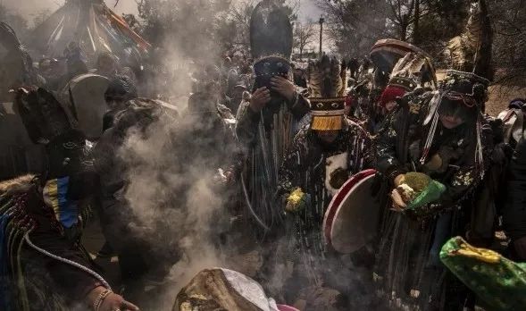 战功赫赫的马,驰骋草原的马,都是蒙古人的浪漫