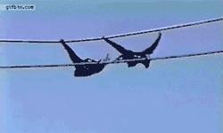 8个超级笑话,送给群里朋友乐一乐