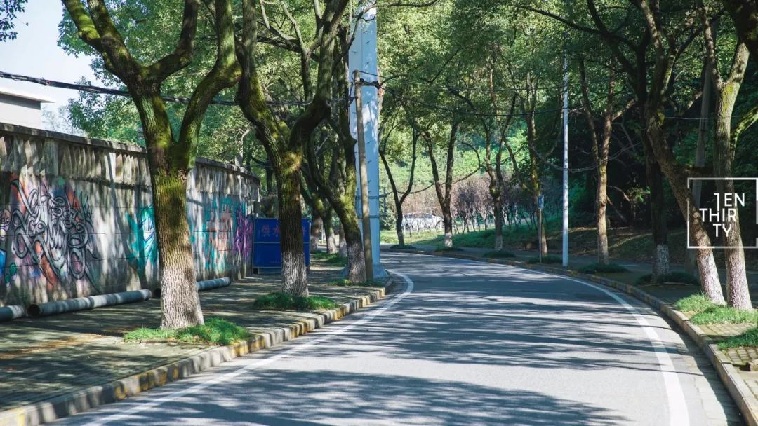 武汉冬季好玩的免费景点,武汉东湖免费景点有哪些