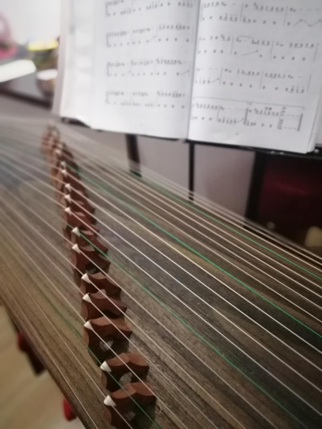 【干货】义甲，银甲弹筝用，金鱼换酒来，到底是真甲还是义甲？