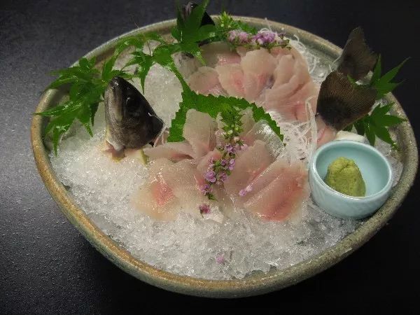 世界十大凶猛淡水鱼类,顶级淡水鱼类