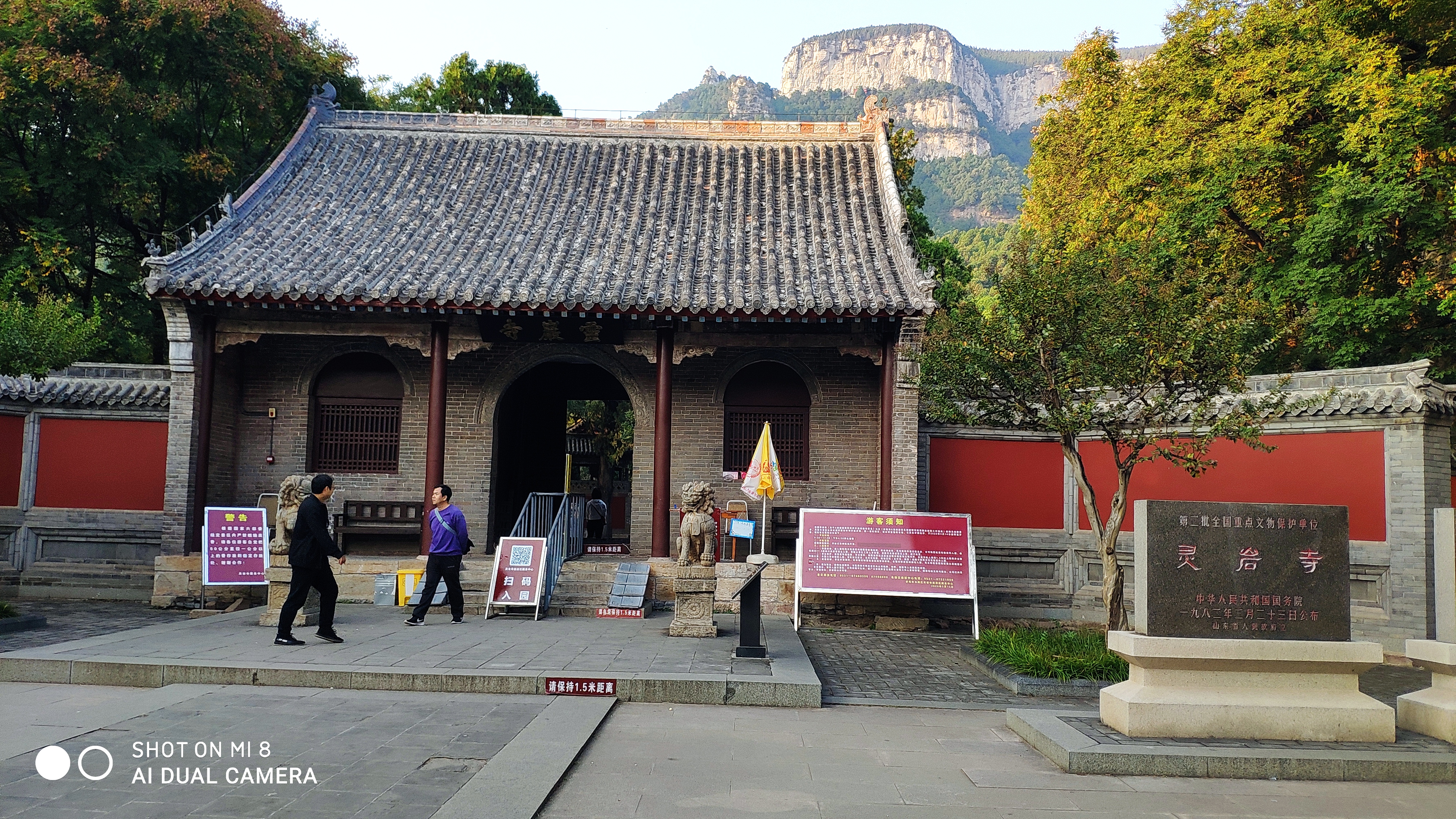 去济南灵岩寺什么必看,济南灵岩寺神树