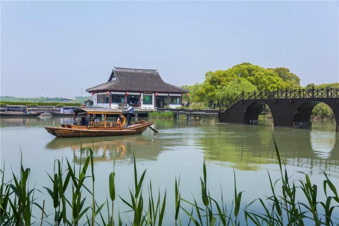 沙家浜：名门闺秀的英雄豪气