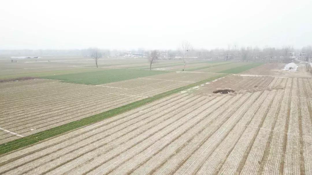 谁说村级零售没有出路，一位80后女零售商就能一年卖二三百万