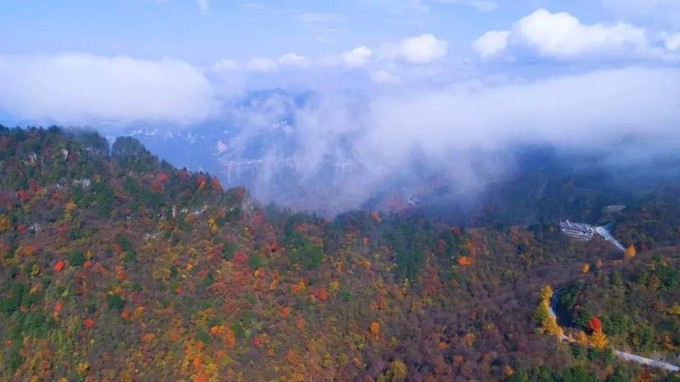 神农架旅游攻略最新,神农架秋天旅游攻略