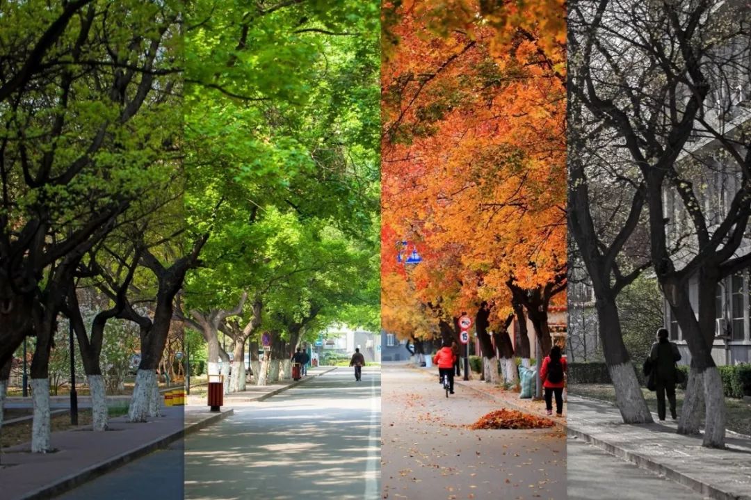 北京信息科技大学毕业后情况,北京大学信息科学技术学院物理系