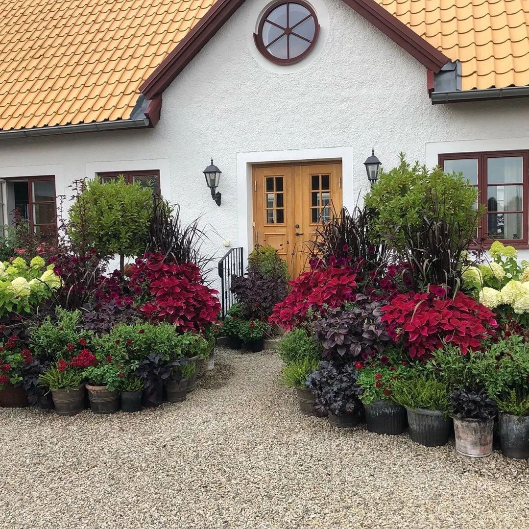 小面积庭院景观,庭院微地形绿化效果图