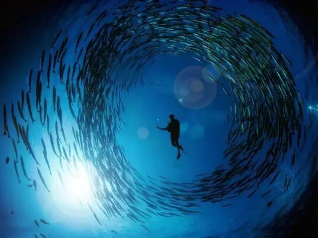 对帕劳之行的感悟,帕劳一场诗和远方的旅行