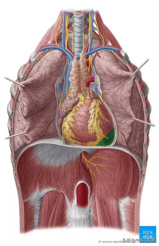 蹇冭剰瑙ｅ墫瀹為獙,蹇冭剰瑙ｅ墫鎵嬫湳