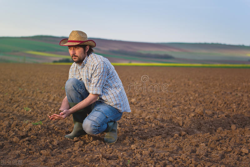 用什么方法改变土壤酸碱度,判断土壤酸碱度的最佳方法