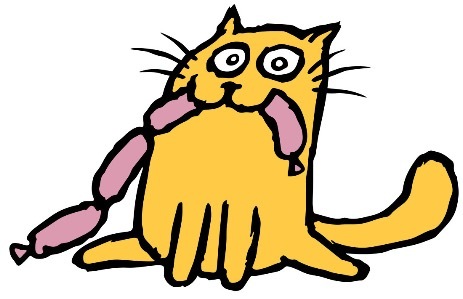 卖米的文案,卖猫的文案怎么写