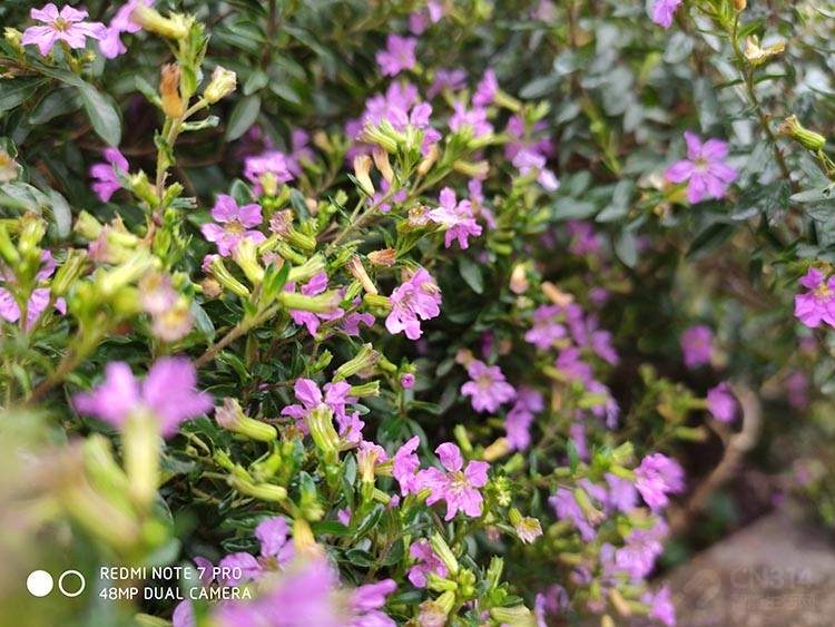 红米note7pro8g256g售价,千元手机红米note7评测