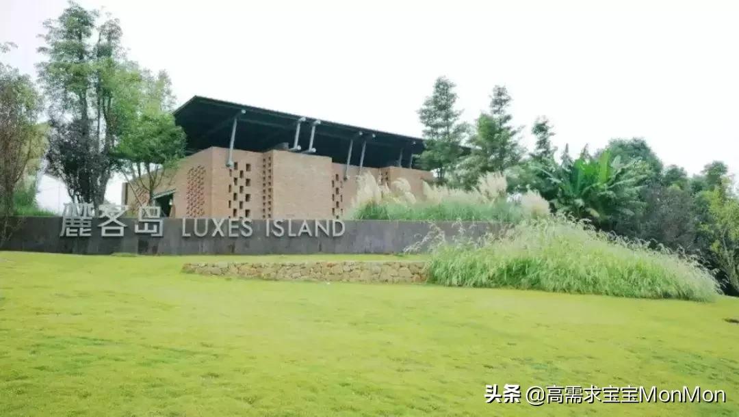 周末去哪儿儿童乐园,儿童去哪儿旅行