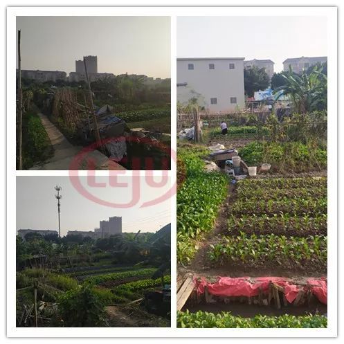 番禺区胜石村旧改最新消息,番禺胜石村旧改最新消息