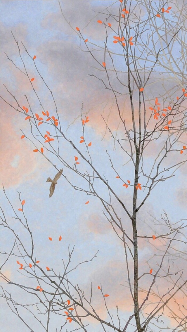 好看的微信聊天背景图男生,微信聊天背景图超清苹果