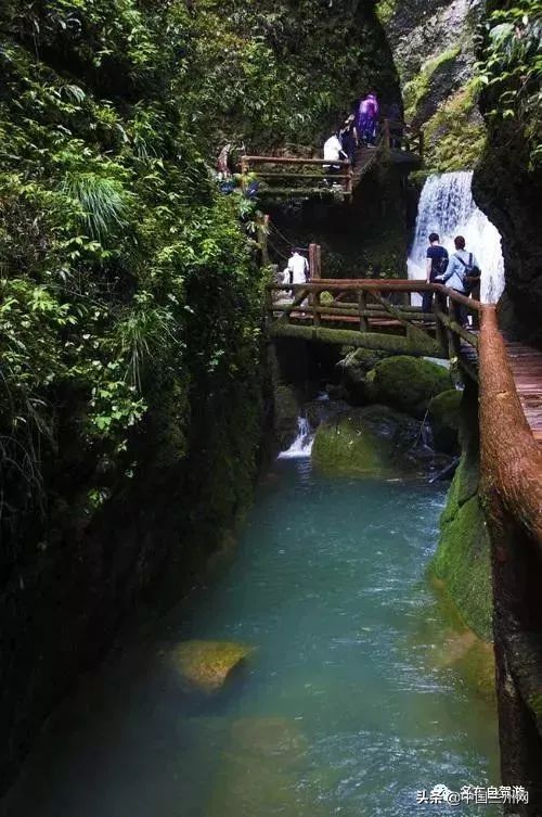 兰州到甘谷绿巨人开通时间,兰州至上海绿巨人