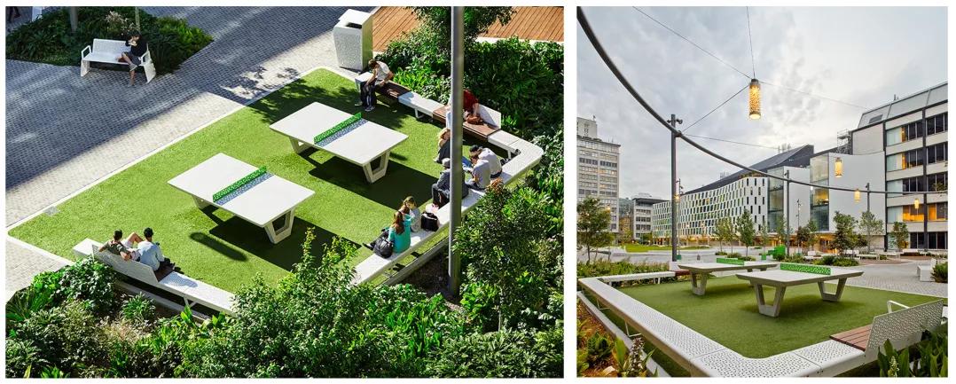 桂城全民健身公园,佛山体育公园最新规划