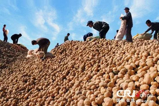 定西千般好总有一样适合你！