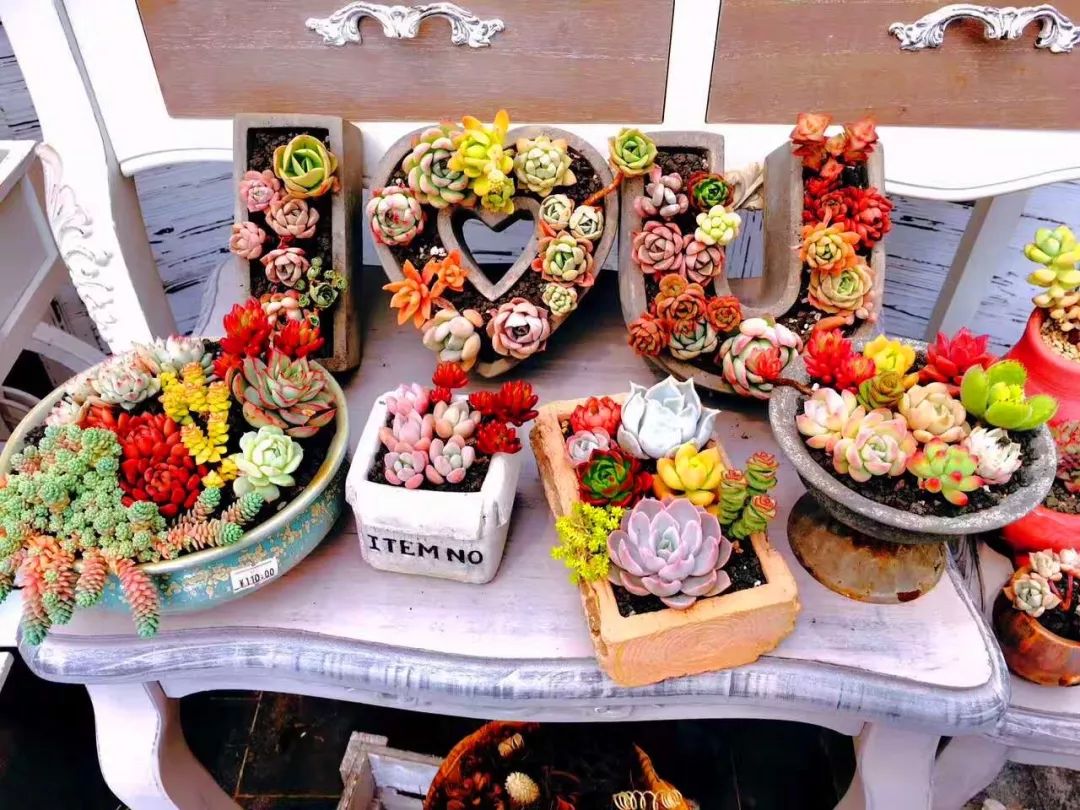 不靠娱乐设施、不接待散客、不主动宣传，这个庄园依然被引爆