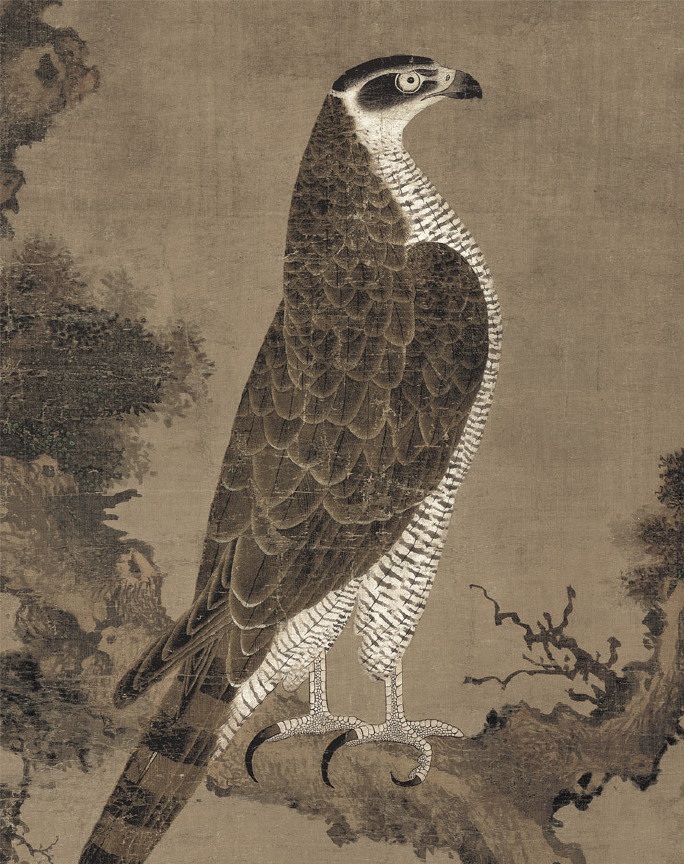 650年前的《柏鹰图》，用笔工细有特色，是古代国画的代表作品