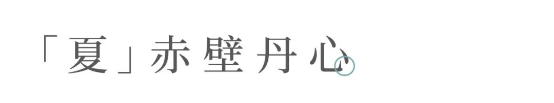 关于我们的茶生活的美文,茶与生活的美文