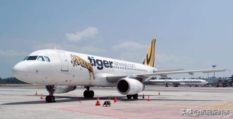 澳洲虎航停航怎么样,澳洲平价航空公司