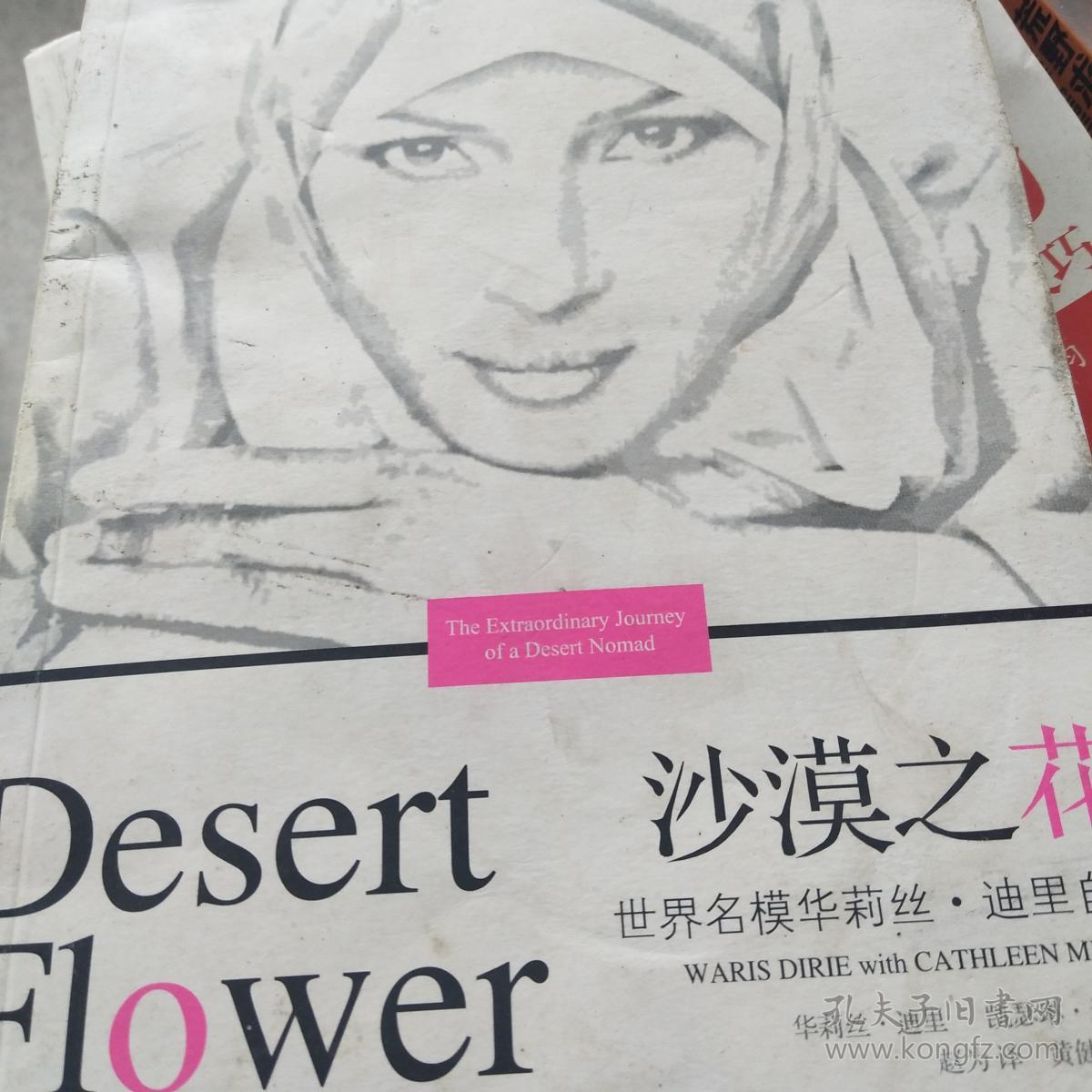 “割礼”惨无人寰的陋习，*害迫**着女性身体，震撼人心《沙漠之花》