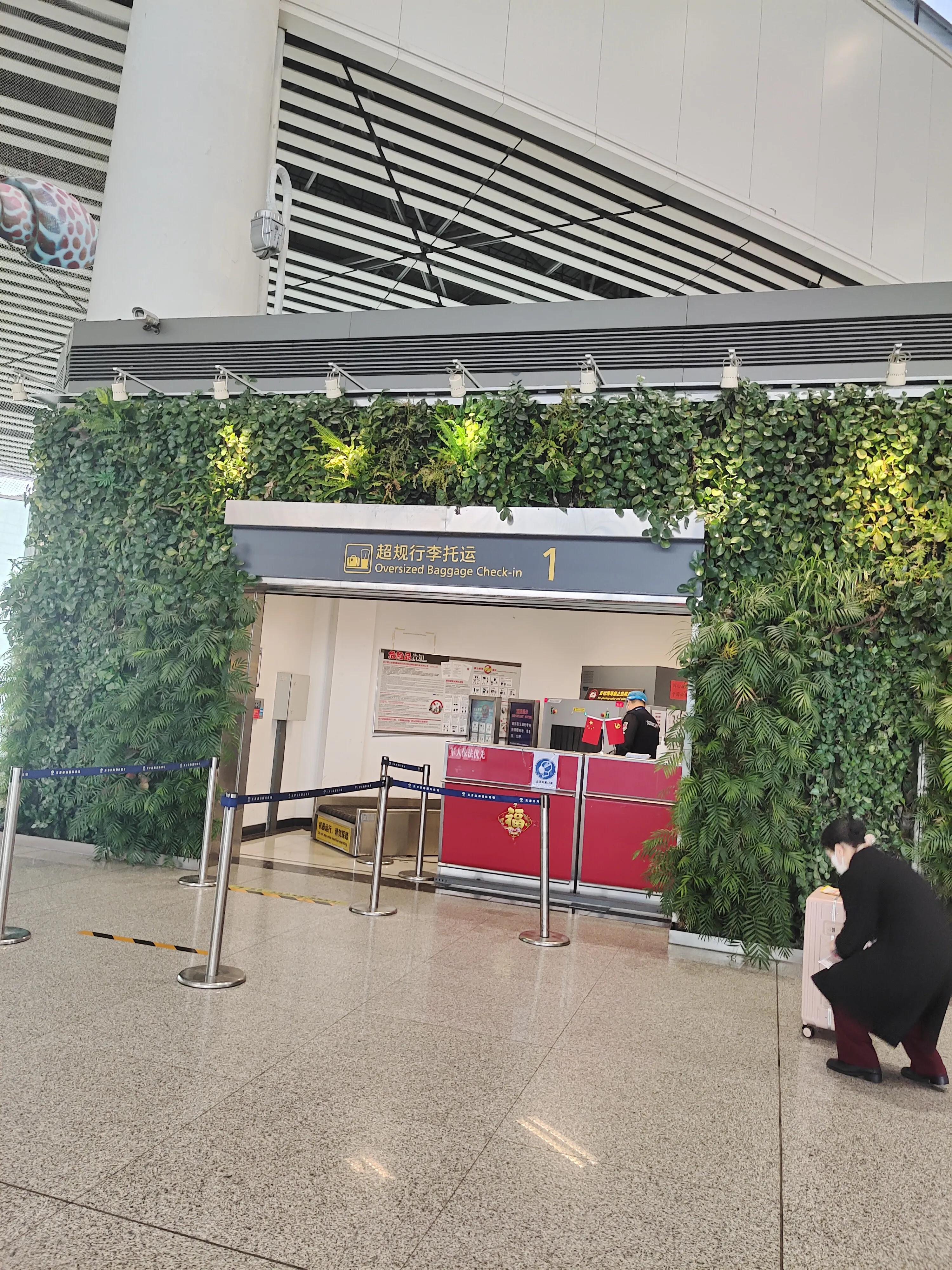 残疾人坐飞机详细教程,残疾人自带轮椅如何乘飞机