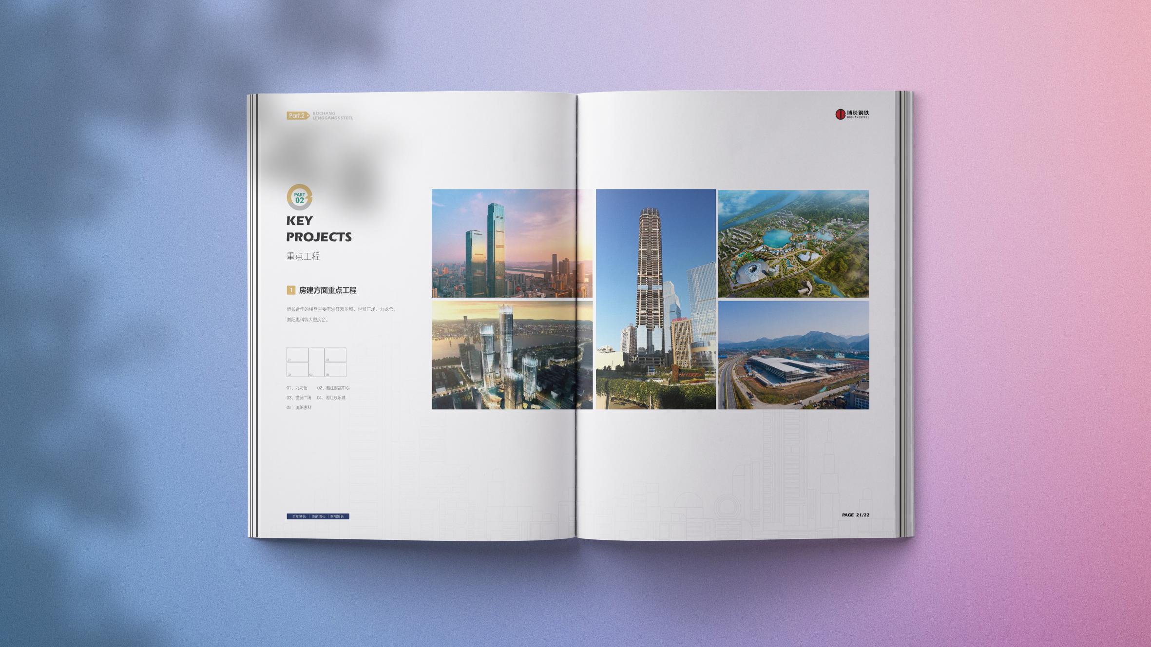 常德博长钢铁贸易有限公司,衡阳博长钢铁贸易有限公司技改