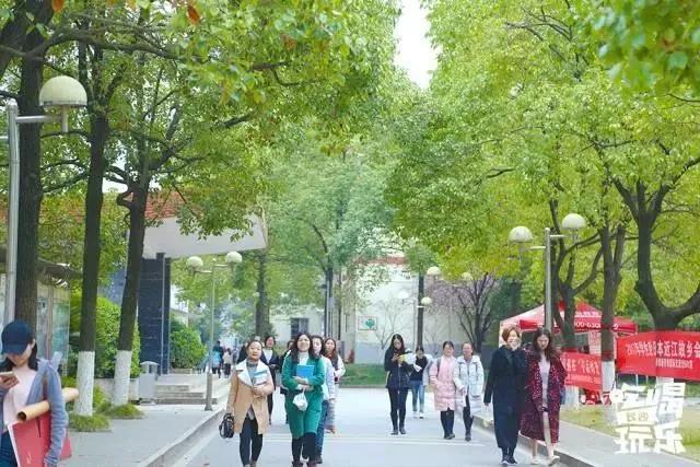 母校我想你,想你母校