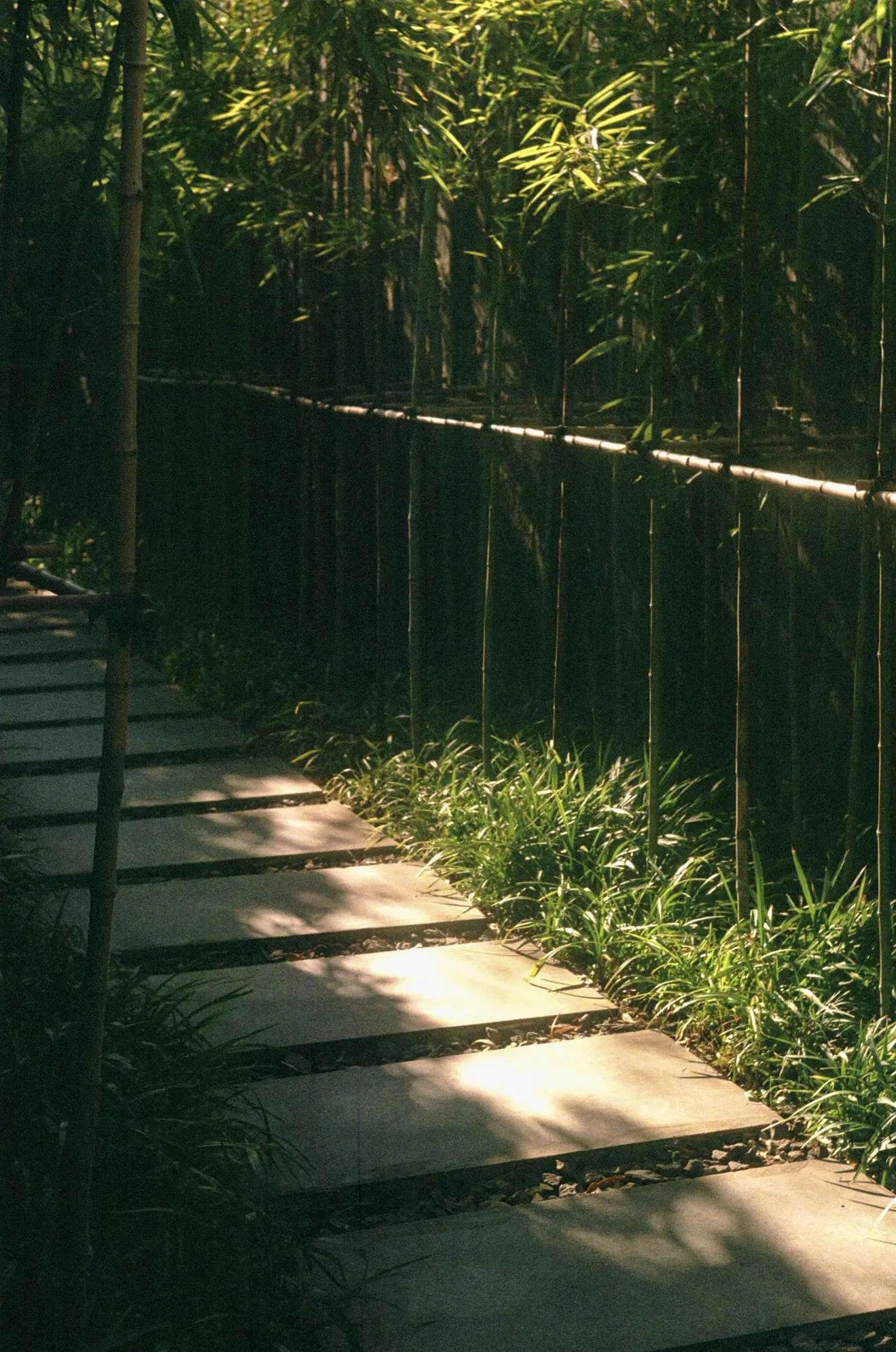 是谁发明了彩色相机,康泰时相机发展史