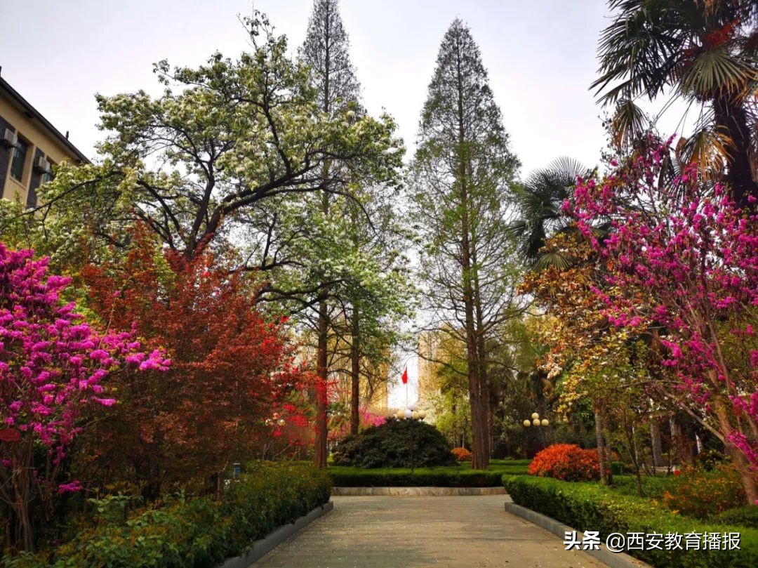 西安十中2020年高一招生多少人,西安十中定向生名额