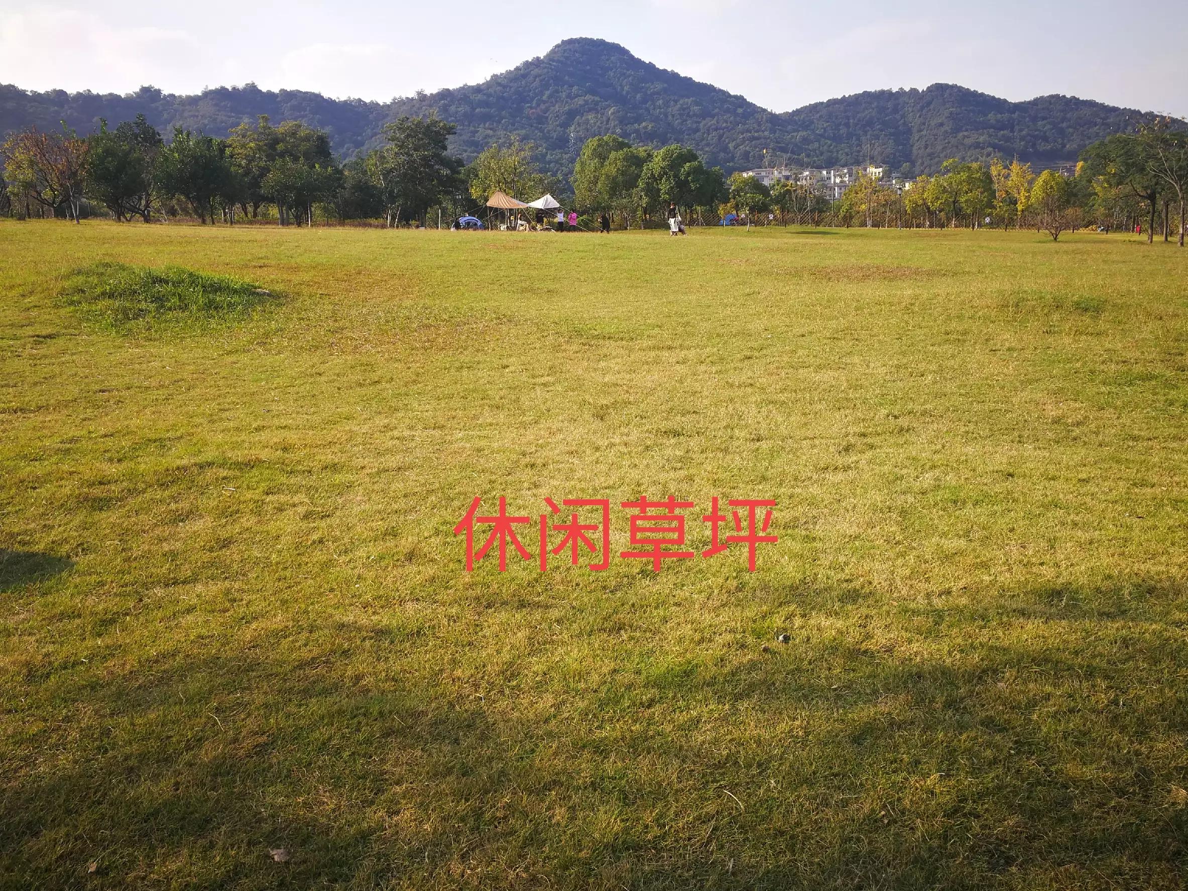 杭州湘湖一个幽静美丽的地方,带大家来看杭州湘湖风景美不美