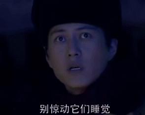 鬼吹灯将军墓里胡八一背后的手印 (鬼吹灯胡八一探墓)