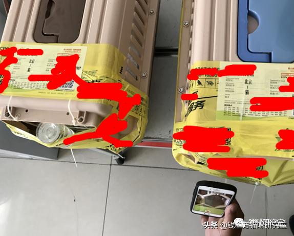 给大家介绍宠物托运的全过程,找托运宠物公司托运宠物注意什么